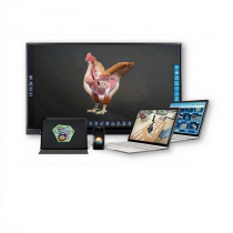Интерактивное наглядное 3D пособие «Познание: Птицеводство» - «globural.ru» - Краснодар