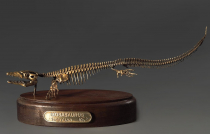 Модель скелета мозазавра Mosasaurus - «globural.ru» - Краснодар