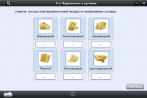 Интерактивные курсы. Биология 8 класс. Базовый  - «globural.ru» - Краснодар