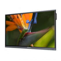 Интерактивный программно-аппаратный комплекс Geckotouch Interactive Pro IP75HT-E в комплекте с настенным креплением - «globural.ru» - Краснодар