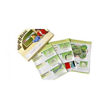 Коллекция "Шелк" (начальная школа) - «globural.ru» - Краснодар