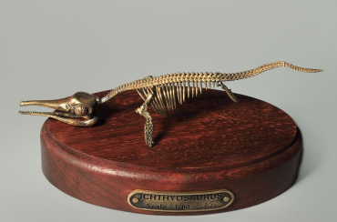 Модель скелета ихтиозавра Ichthyosaurus - «globural.ru» - Краснодар