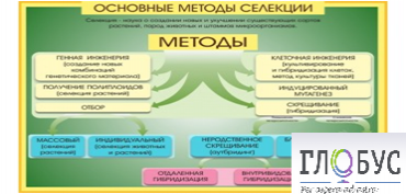 Стенд "Методы селекции и биотехнологии" - «globural.ru» - Краснодар