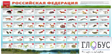 Стенд "Красная книга РФ" - «globural.ru» - Краснодар