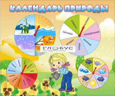 Стенд "Календарь природы" (вариант 1) - «globural.ru» - Краснодар