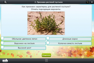 Интерактивные курсы. Окружающий мир 3 класс. Базовый - «globural.ru» - Краснодар