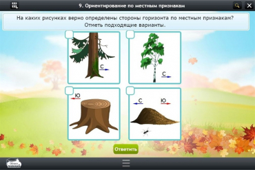 Интерактивные курсы. Окружающий мир 1 класс. Базовый - «globural.ru» - Краснодар