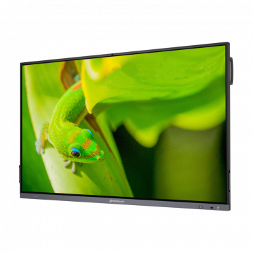 Интерактивный программно-аппаратный комплекс Geckotouch Interactive IP65GT-C в комплекте с настенным креплением - «globural.ru» - Краснодар