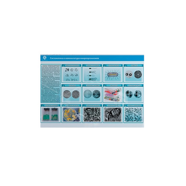 Стенд-планшет светодинамический «Изучение систематики и номенклатуры микроорганизмов» - «globural.ru» - Краснодар