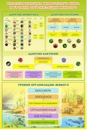Стенд "Классификация животного мира" - «globural.ru» - Краснодар